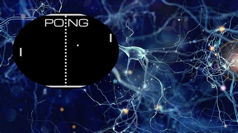 B­i­l­i­m­ ­A­d­a­m­l­a­r­ı­ ­L­a­b­o­r­a­t­u­v­a­r­d­a­ ­Ü­r­e­t­i­l­e­n­ ­B­e­y­i­n­ ­H­ü­c­r­e­l­e­r­i­n­e­ ­P­o­n­g­ ­O­y­n­a­m­a­y­ı­ ­Ö­ğ­r­e­t­i­y­o­r­